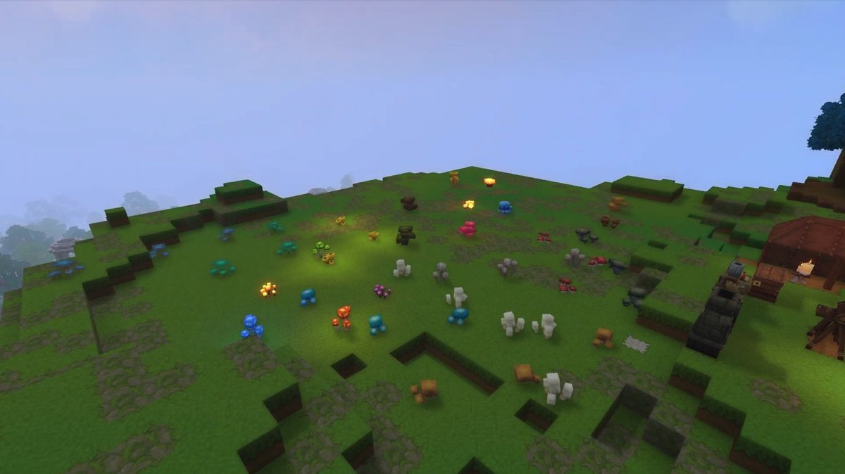 Various mushrooms planted on grass and spreading