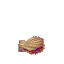 サンゴの貝殻
