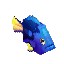ナンヨウハギ