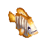 ヒレナガハギ