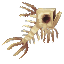 魚の骨