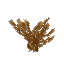 イバラ葉