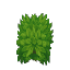 緑の茂み