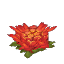 サボテンの花