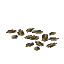 ヒマワリ種
