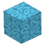 水色のサンゴブロック