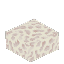枯れかけのサンゴブロック(ハーフブロック)
