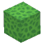 緑のサンゴブロック