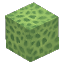ライムグリーンのサンゴブロック