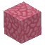 ピンクのサンゴブロック