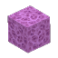 すみれ色のサンゴブロック
