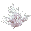 白化したサンゴの茂み