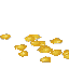 実ったトウモロコシ
