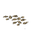 キノコ菌床