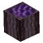 紫のキノコ幹