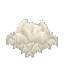 白いキノコ菌糸