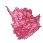 クリスタル葉