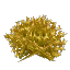 黄色い乾燥地の花茂み