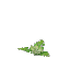 ジャングルの花