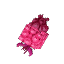 ピンクベリー