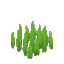鋭い草