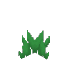 背の低いジャングルの草
