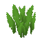 背の高いジャングルの草