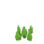背の低い鋭い草