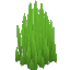 野生の鋭い草