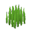 背の高い草