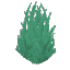 野生の湿った草