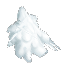 雪の積もったモミ葉