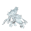 雪の積もった葉