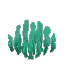 海藻