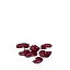 紫の豆