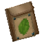 ブナ種袋