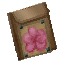 クリスタル種袋