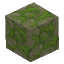苔むした石