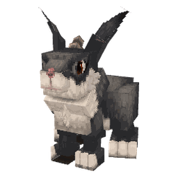 ウサギ